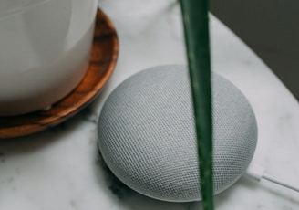 chalk Google Home Mini speaker near plant pot on white surface