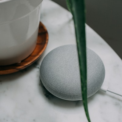 chalk Google Home Mini speaker near plant pot on white surface