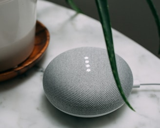 round charcoal Google Home Mini plug-in