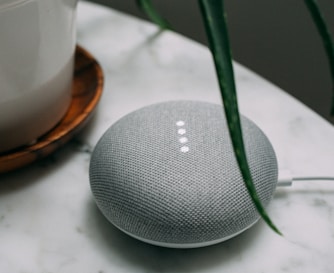 round charcoal Google Home Mini plug-in