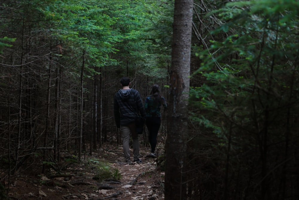 man in blue jacket walking on forest during daytime