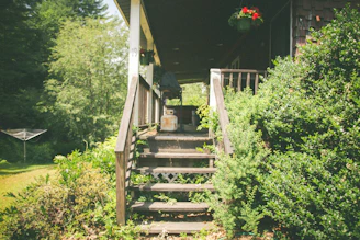 A sturdy wooden ramp leading to a front door, surrounded by lush Louisiana greenery.