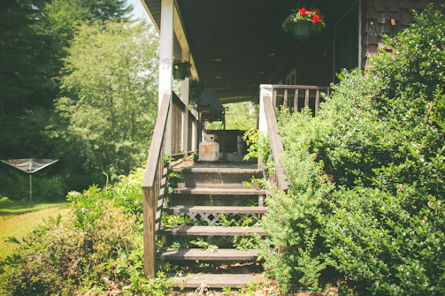 A sturdy wooden ramp leading to a front door, surrounded by lush Louisiana greenery.