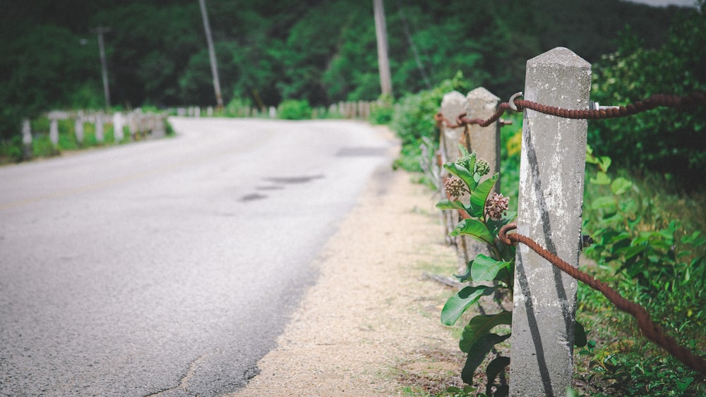 gray concrete fence post near road