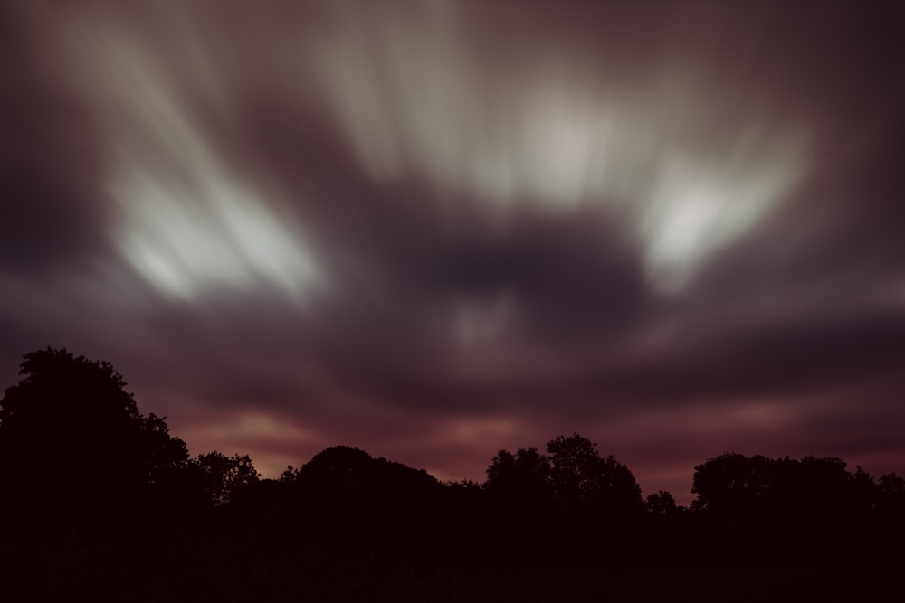 silhouette tree under cloud