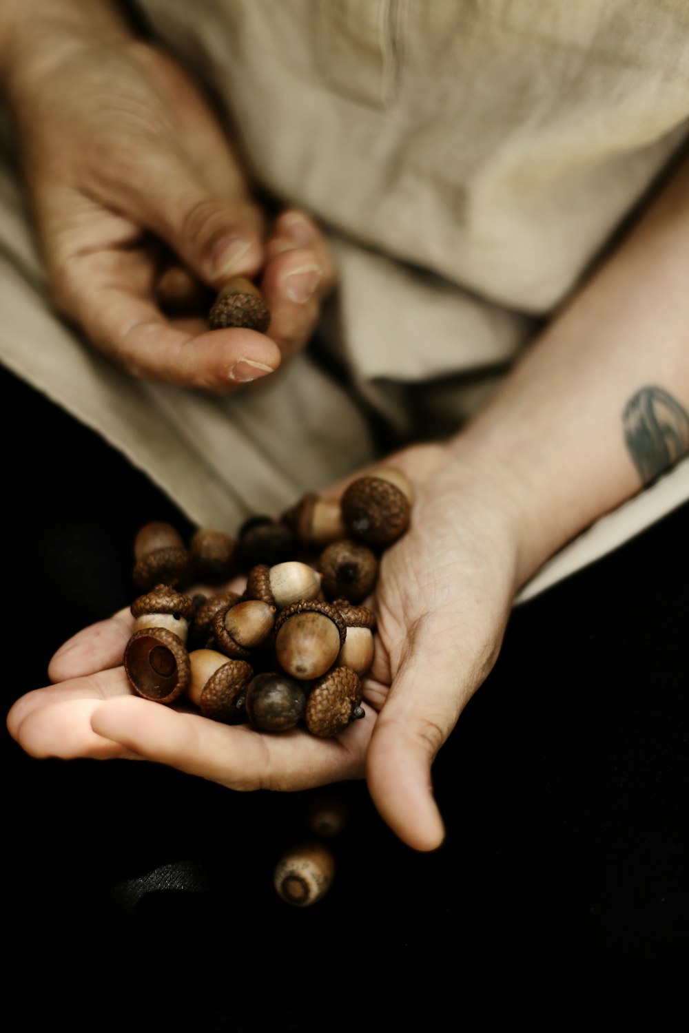 person holding wallnuts