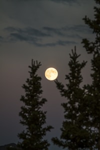 full moon during nighttime