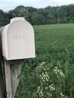 A freshly painted blue and silver mailbox standing proudly at the edge of a lawn.