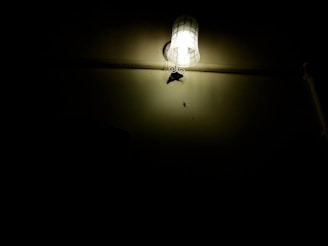 A dimly lit wall features a single wall-mounted light fixture, emitting a soft white glow. Below the light, a small insect is visible, possibly a moth, attracted by the light. The surrounding area is enveloped in darkness, creating a stark contrast with the illuminated section.