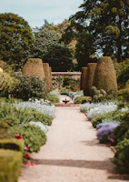 A beautifully designed garden pathway lined with vibrant flowers and lush greenery.