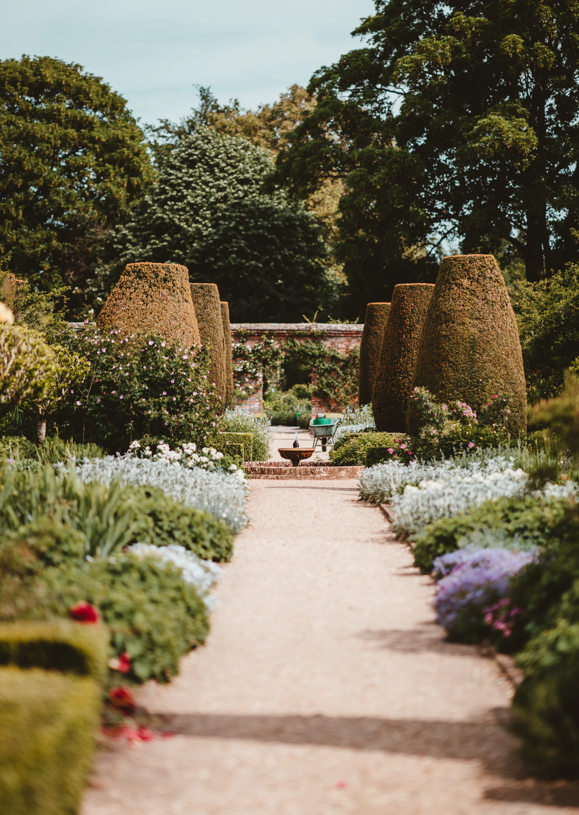 A vibrant garden path winding through carefully arranged plants and decorative stones, inviting a leisurely stroll.