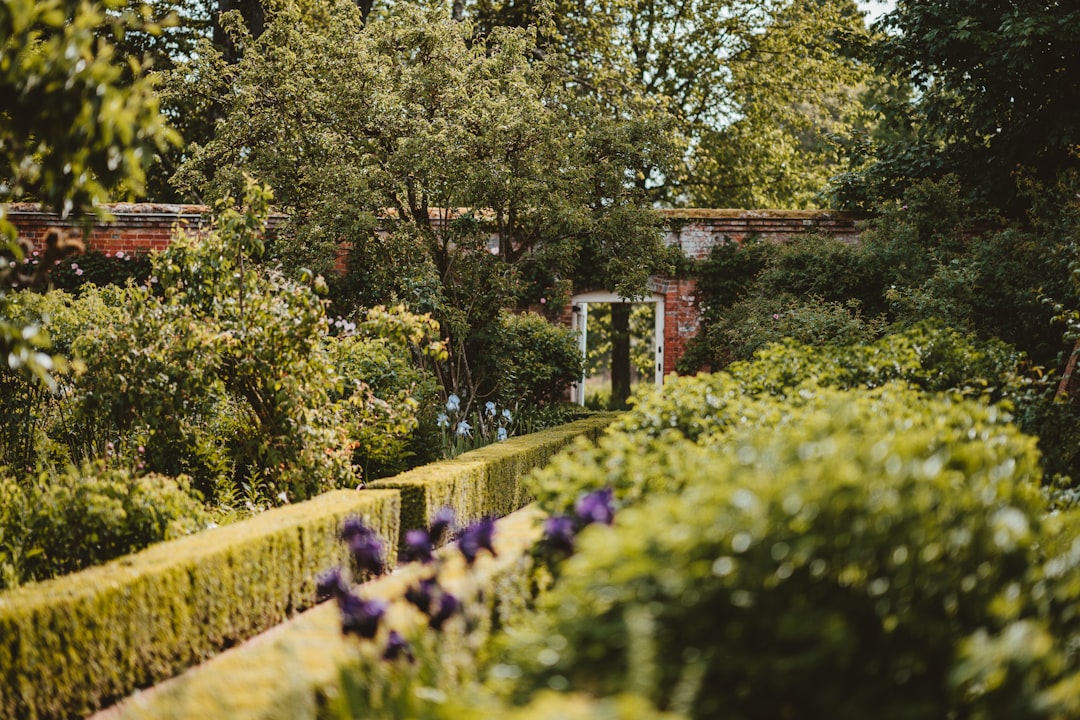 Cottage photo spot National Trust - Mottisfont Pagham