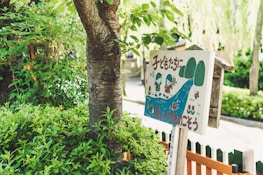 A wooden sign with colorful illustrations of children, trees, and a river, surrounded by lush green foliage. The sign features text in a foreign language and has a playful, cartoonish style.