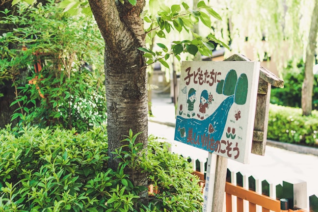 A wooden sign with colorful illustrations of children, trees, and a river, surrounded by lush green foliage. The sign features text in a foreign language and has a playful, cartoonish style.