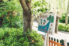 A wooden sign with colorful illustrations of children, trees, and a river, surrounded by lush green foliage. The sign features text in a foreign language and has a playful, cartoonish style.