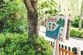 A wooden sign with colorful illustrations of children, trees, and a river, surrounded by lush green foliage. The sign features text in a foreign language and has a playful, cartoonish style.