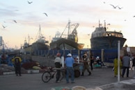 A bustling fishing harbor with boats returning, nets full and seagulls circling above.