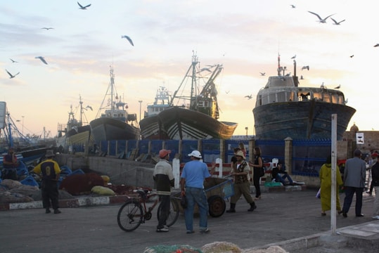 Fishermen unloading vibrant, freshly caught fish at dawn on the harbor dock.