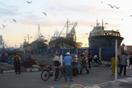 A busy coastal fishing harbor at dawn with fresh fish being unloaded from boats.