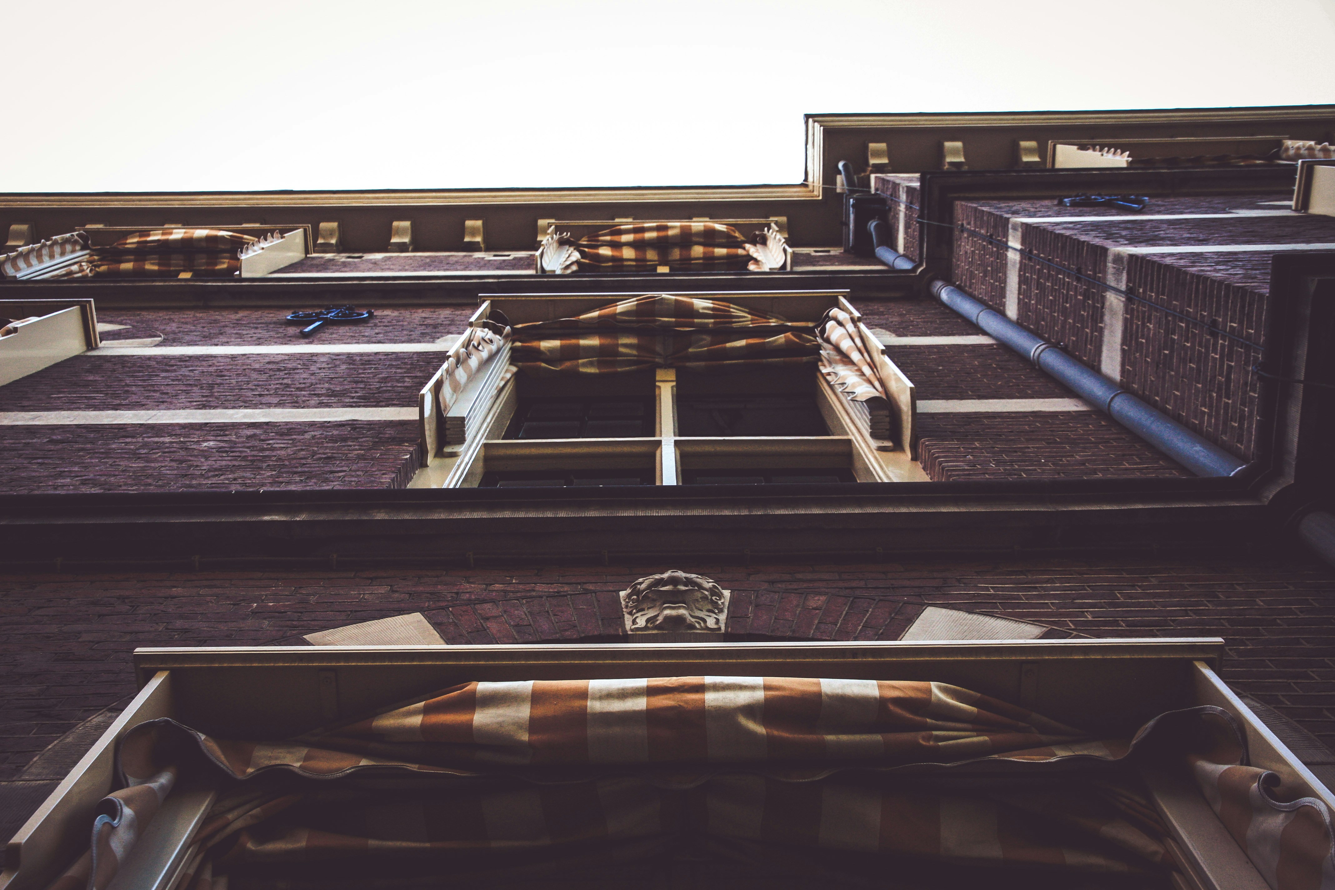 Hollanda'da meslek denkliği ve diploma tanıma sürecini temsil eden resmi belgeler, büyüteç ve Hollanda bayrağı temalı çalışma alanı.