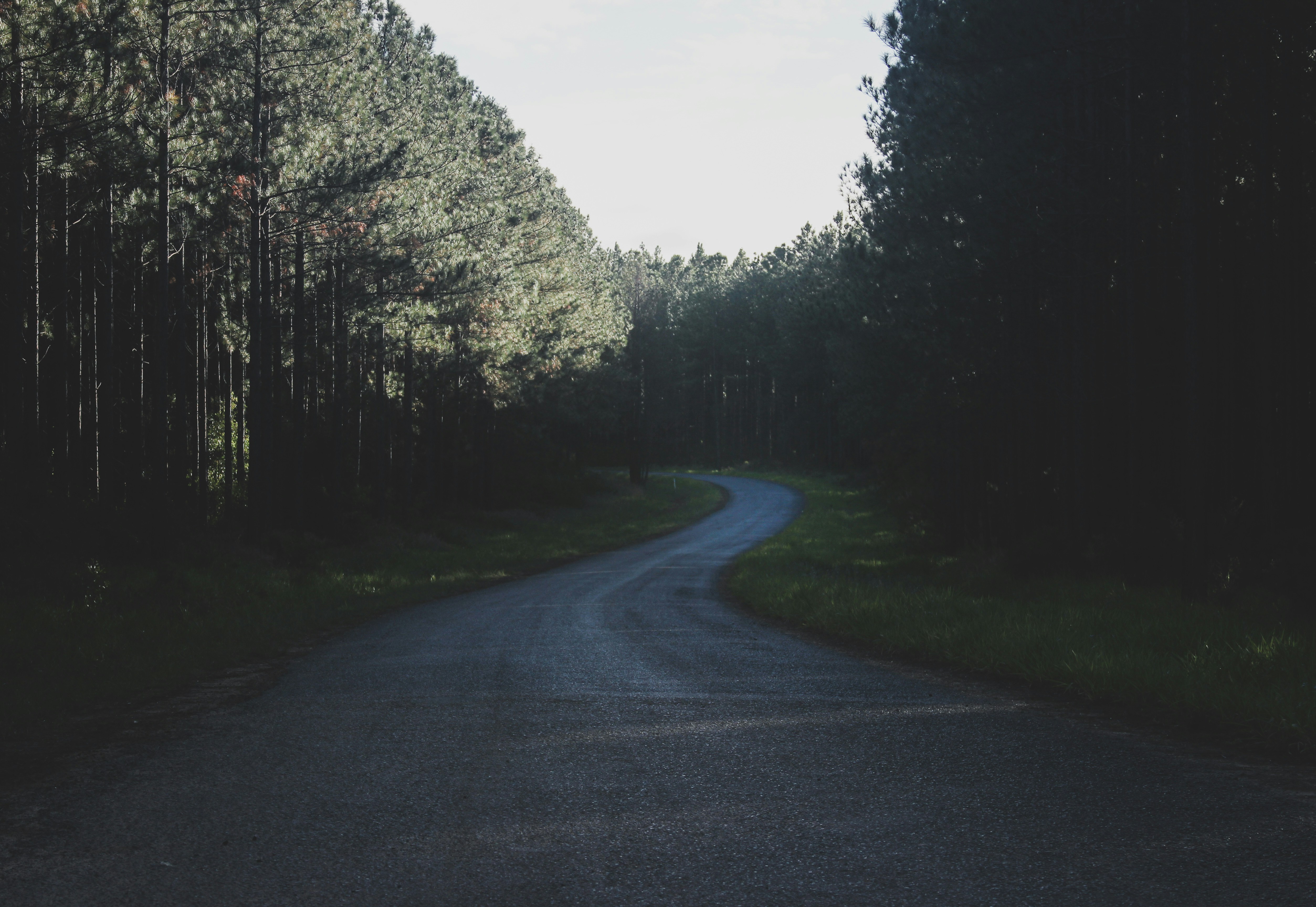 Photo by mitchellf0x