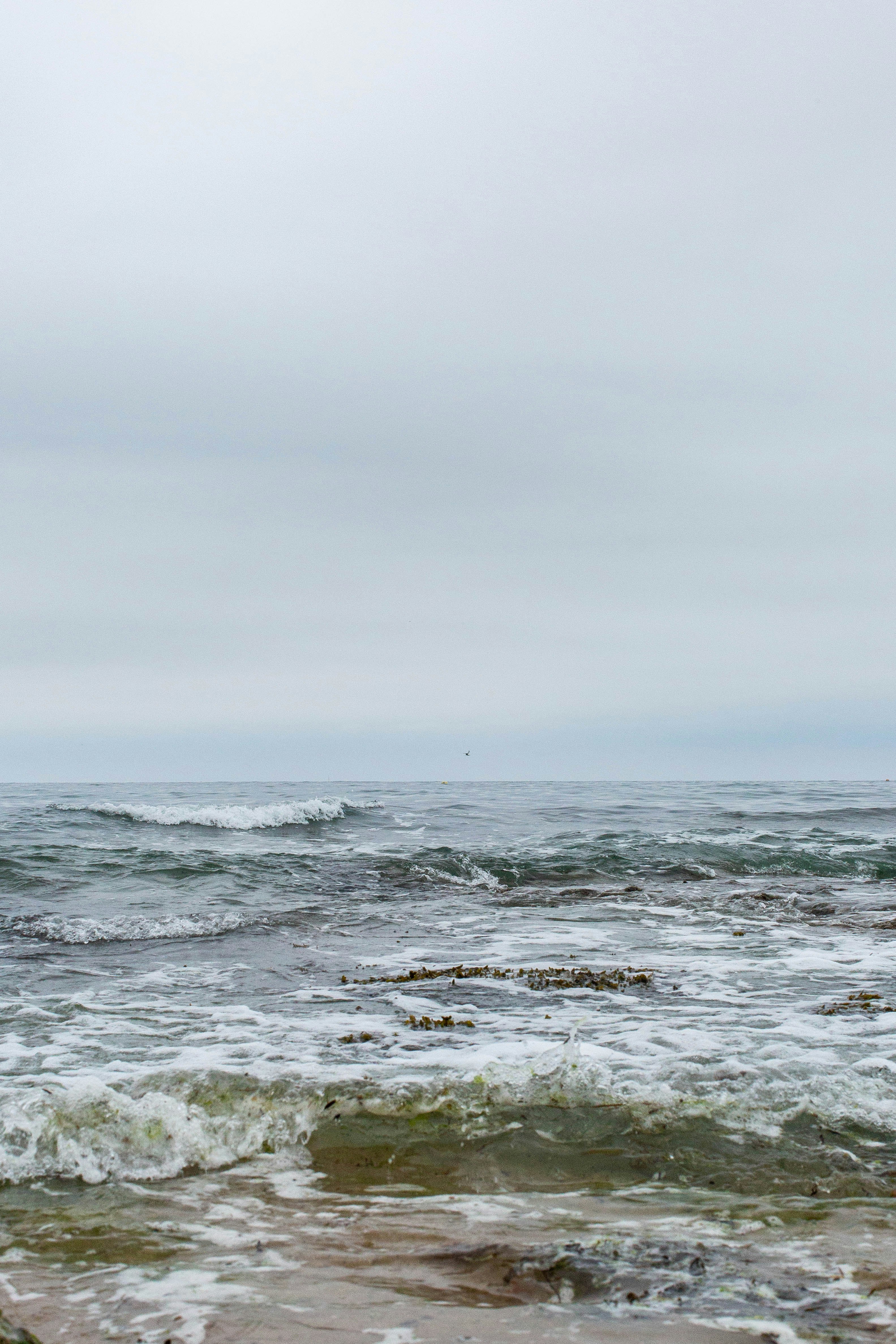 scenery of ocean during daytim