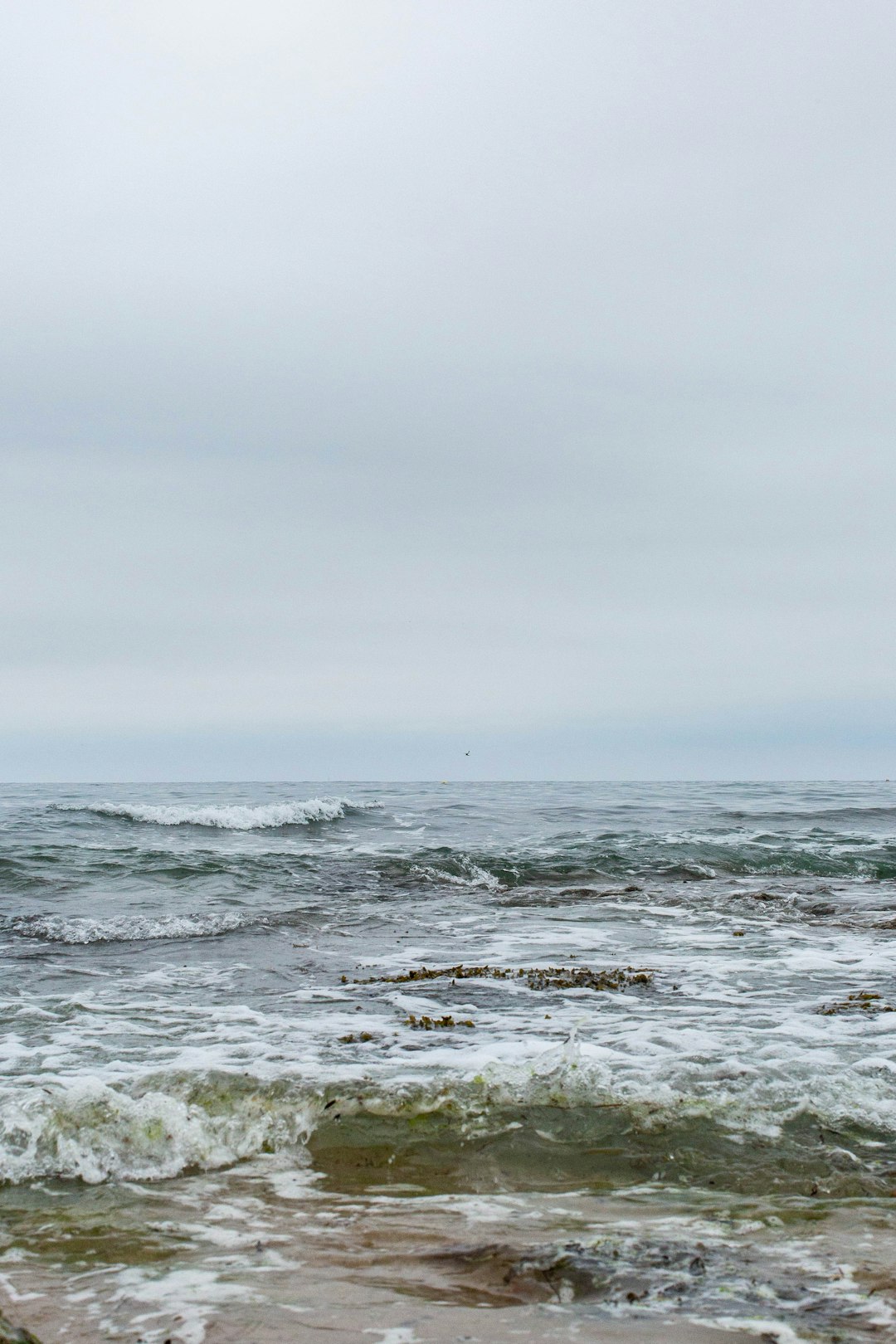 Shore photo spot Gyllyngvase Beach United Kingdom