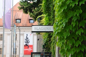 A sign with the word 'BLAGAJNA' is prominently displayed amidst lush green ivy leaves on a wall. In the background, a building with a red tiled roof and banners is visible, suggesting a historical or cultural setting.