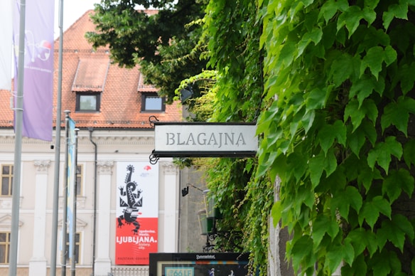 A sign with the word 'BLAGAJNA' is prominently displayed amidst lush green ivy leaves on a wall. In the background, a building with a red tiled roof and banners is visible, suggesting a historical or cultural setting.