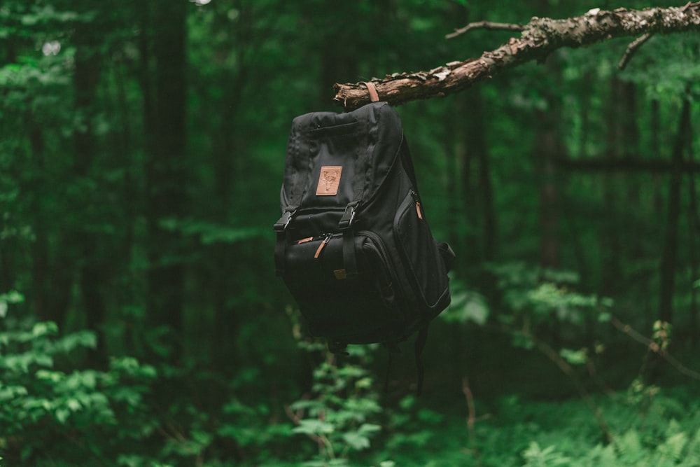 Mochila negra en la rama de un árbol