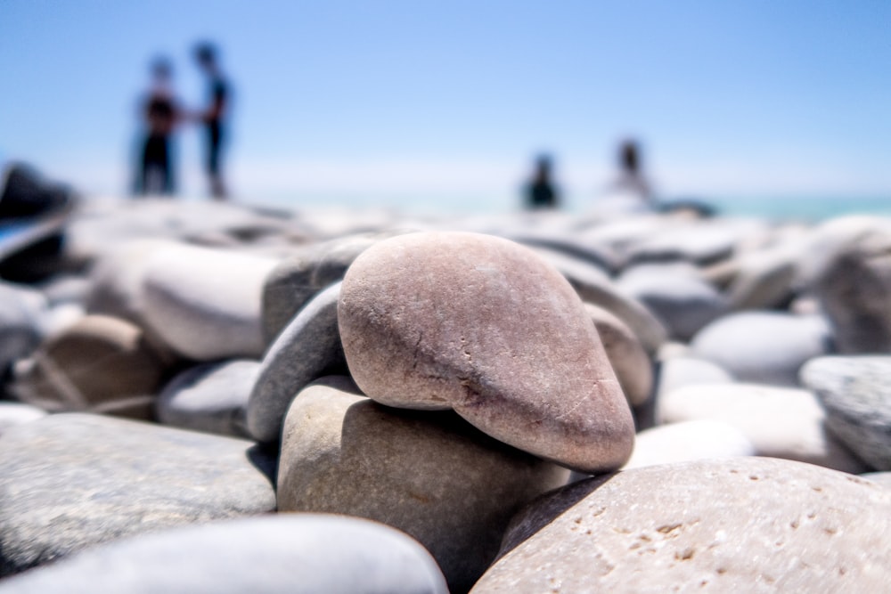 close-up photography of pile of stones