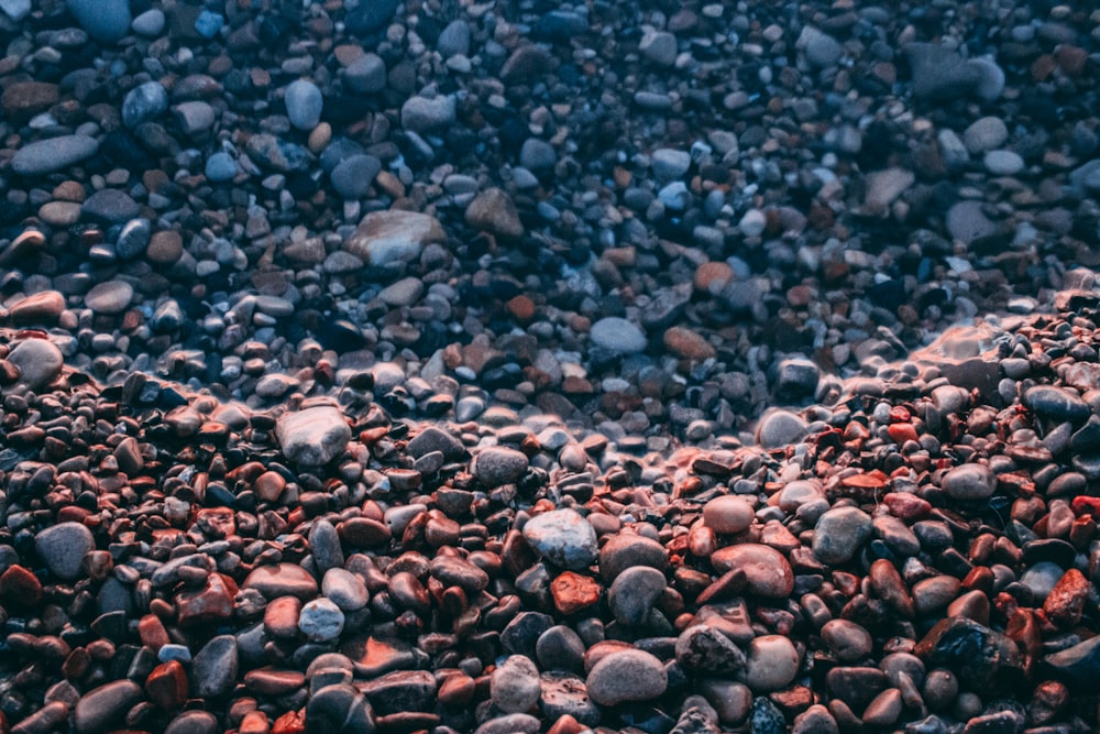 brown and gray pebbles