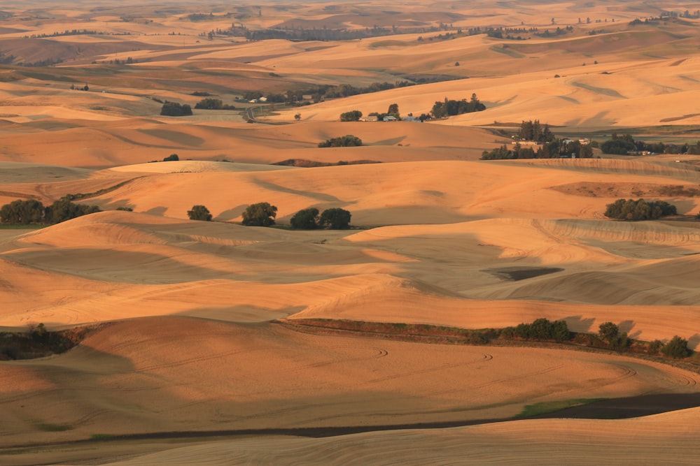 Vista a volo d'uccello del deserto