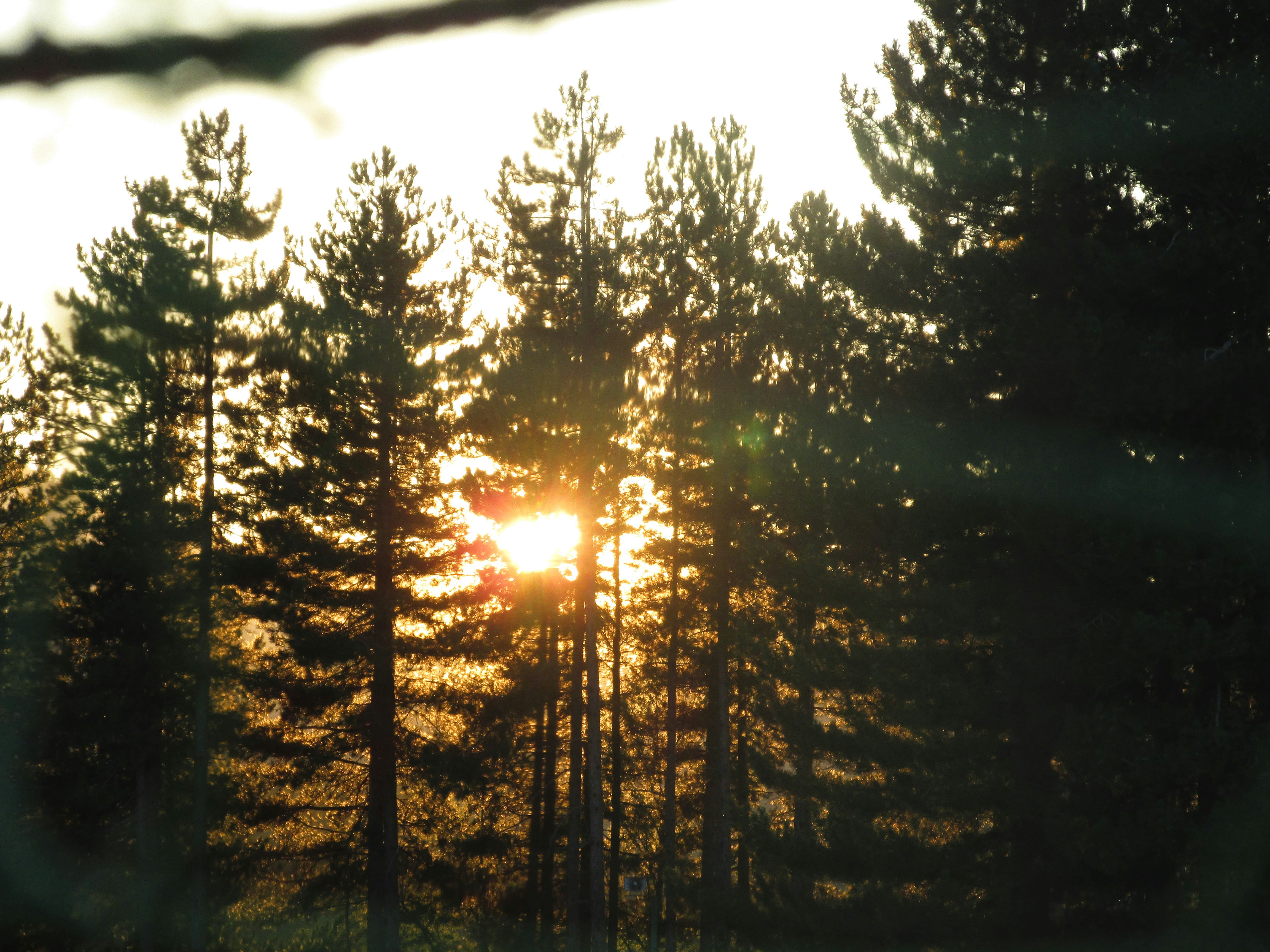 L'inverno in Calabria con i panorami e sapori della Sila