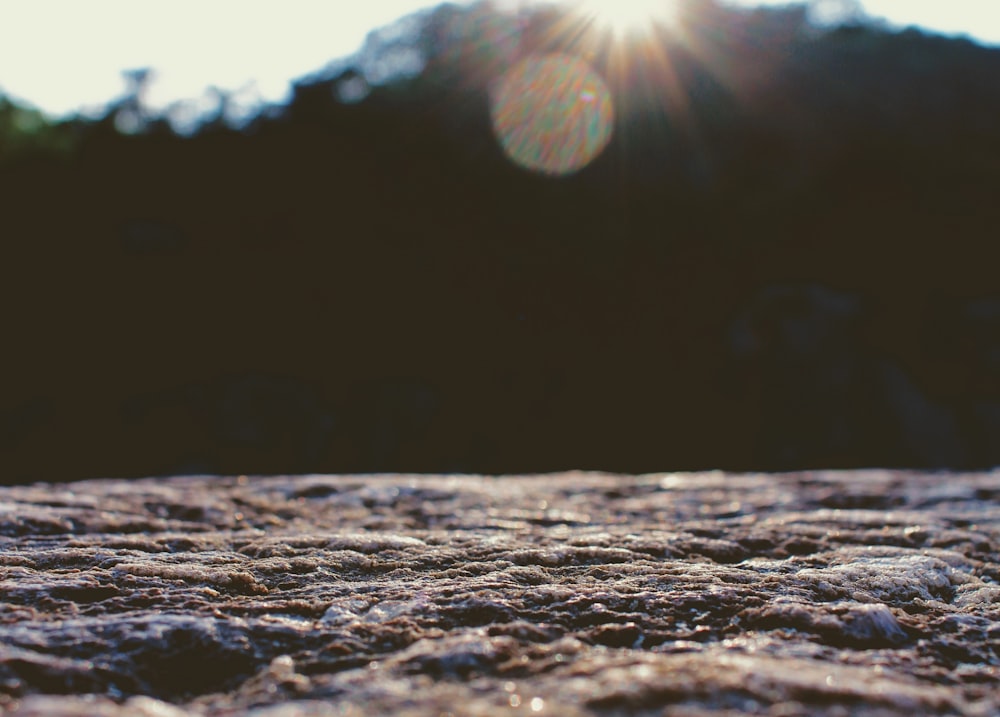 a close up of a dirt surface with trees in the background