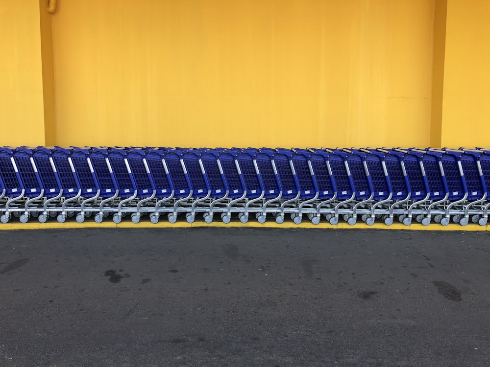 arranged blue grocery carts
