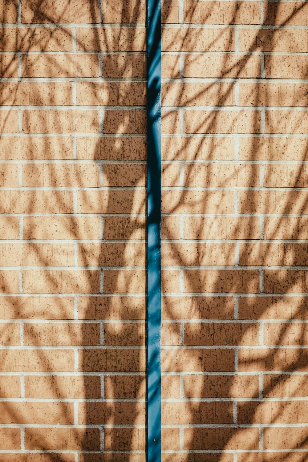 갈색 콘크리트 벽돌 벽에 파란색 막대