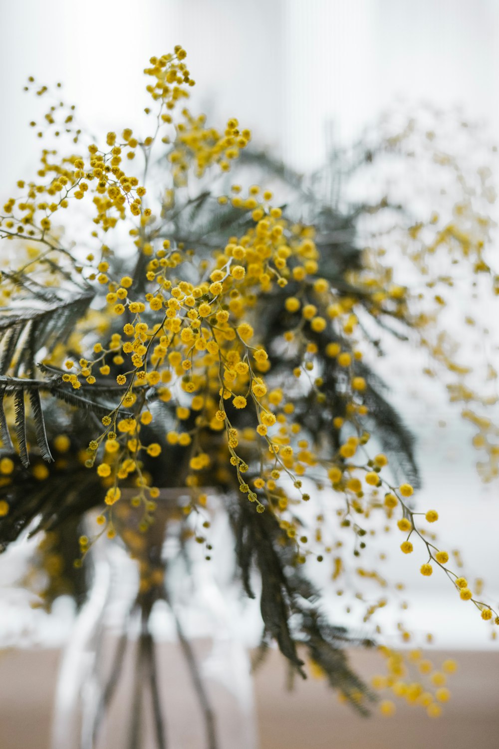 fleurs à pétales jaunes