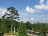 A peaceful outdoor scene symbolizing freedom and success.