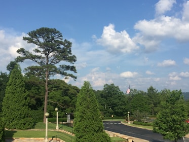 A serene landscape with a flag waving in the wind.