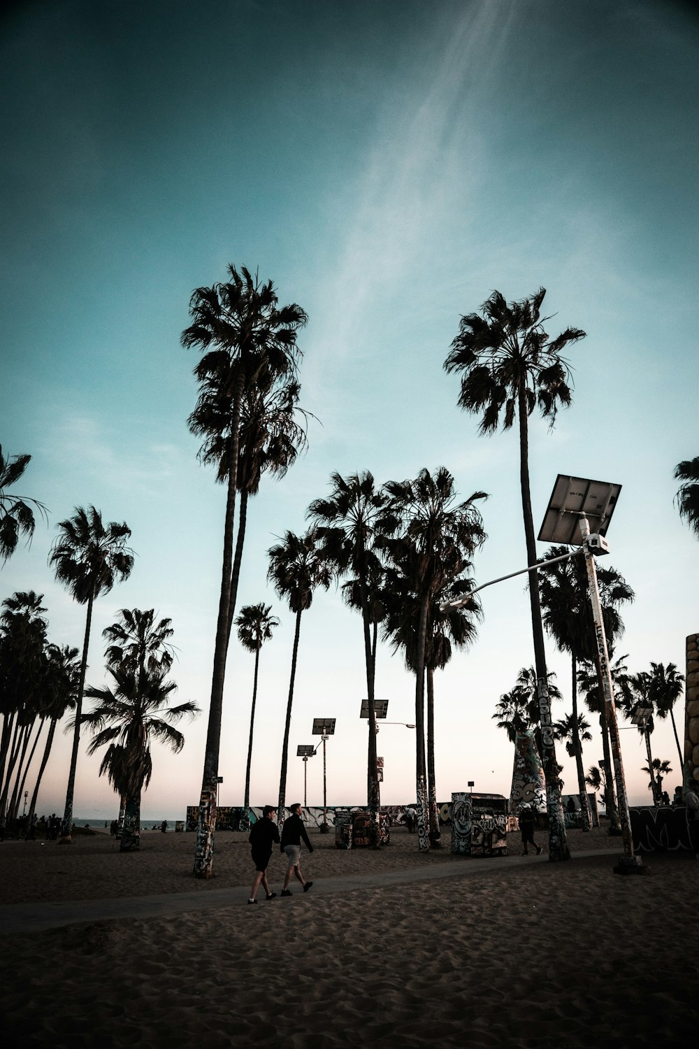 people walking on street post near palm tree