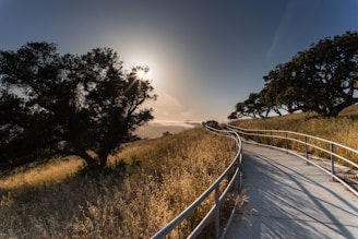 concrete pathway with gray metal fence