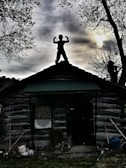 A silhouette of a person with arms flexed stands triumphantly on the roof of a rustic, log cabin. The sky is overcast, with gray clouds casting a dramatic backdrop. Trees with sparse foliage frame the scene, adding to the moody atmosphere.