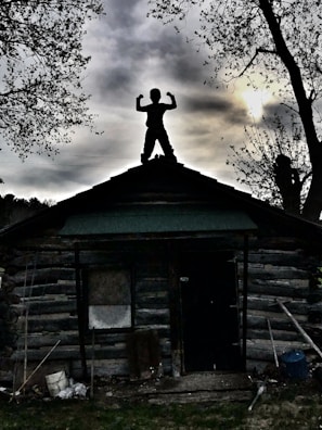 A silhouette of a person with arms flexed stands triumphantly on the roof of a rustic, log cabin. The sky is overcast, with gray clouds casting a dramatic backdrop. Trees with sparse foliage frame the scene, adding to the moody atmosphere.