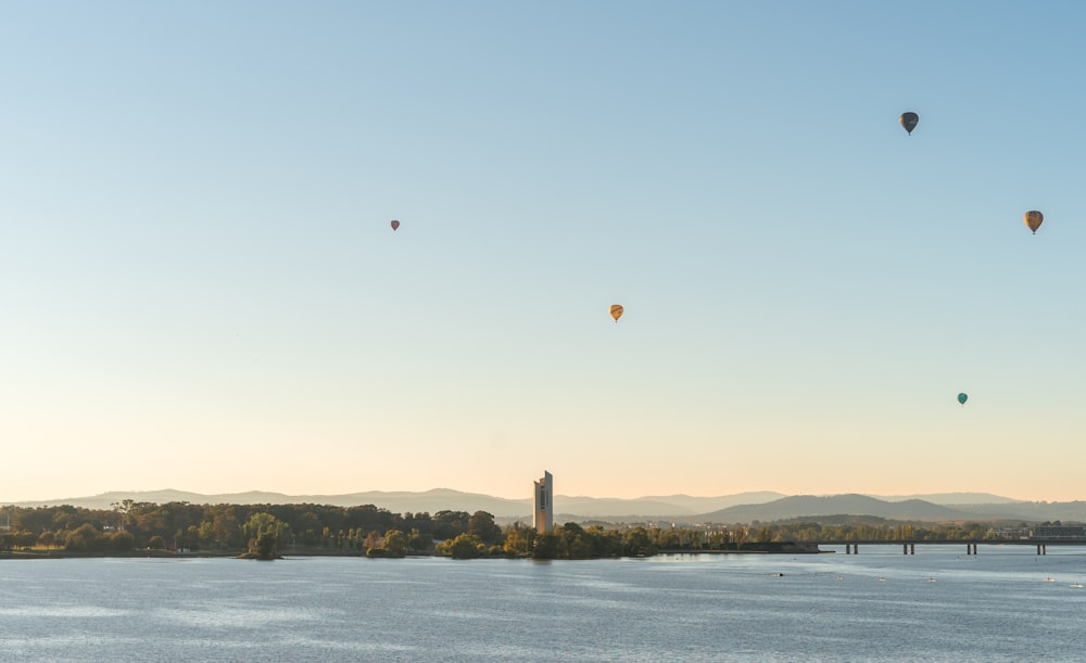 hot air balloons in the sky