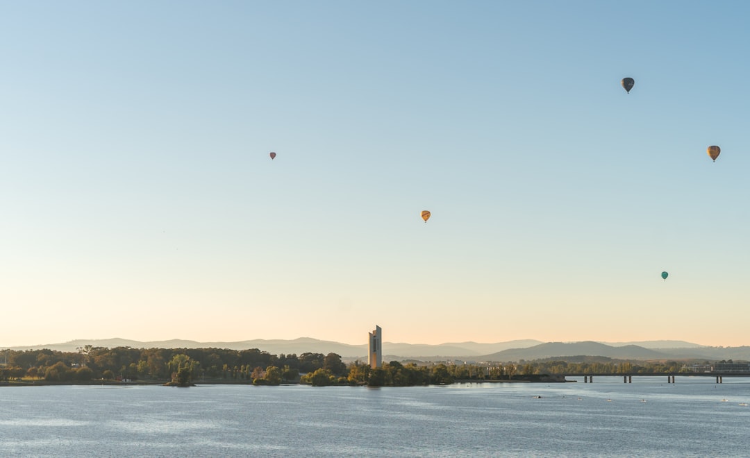 hot air balloons in the sky,