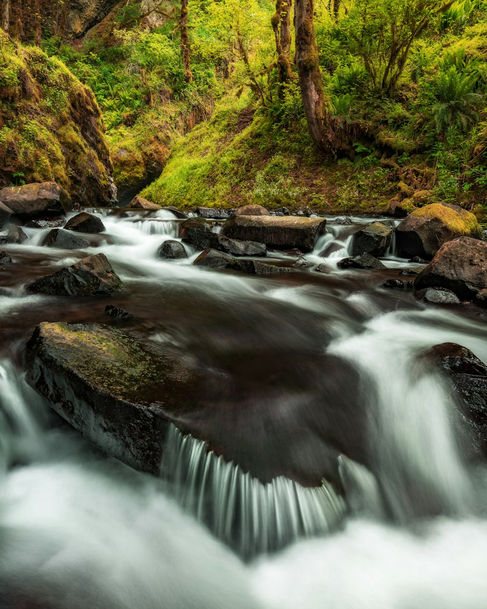 timelapse photo of running stream