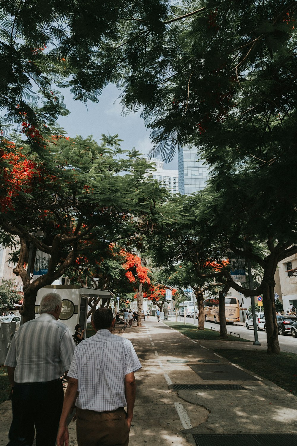 two men walking on sidewalk