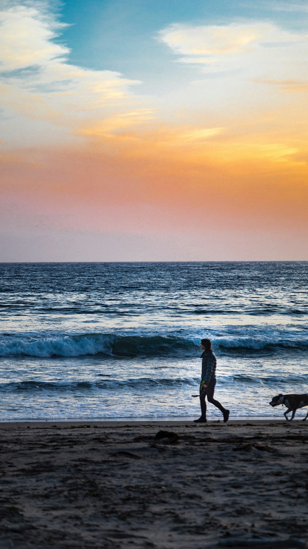 낮에 바닷가를 걷는 사람과 개