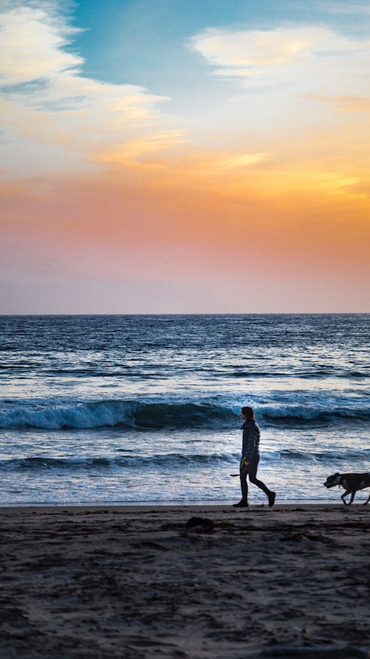 person and dog walking on seashore at daytime in Isla Vista United States